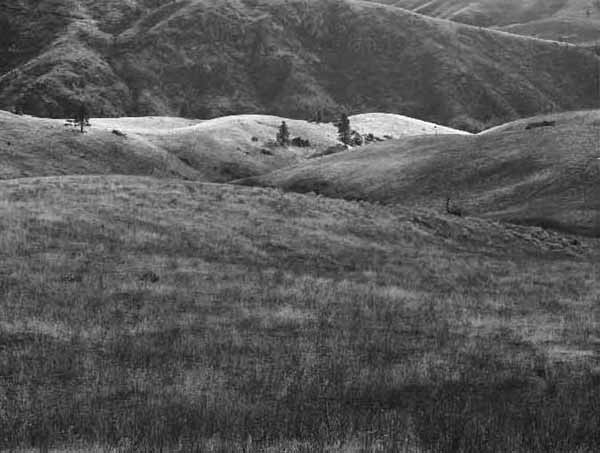 On the Old High Valley Grade (2), 1983